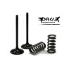 Kit Valvulas Escape Con Muelles RMZ 250