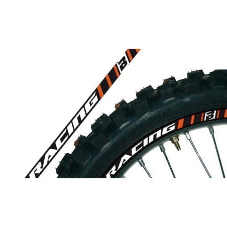 Kit Adhesivos llanta naranja BlackBird