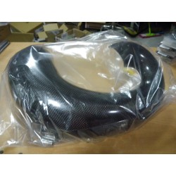 Protector Escape 250/300 2T Carbono Racing