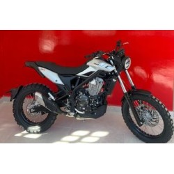 Beta ALP  4.0 X 2026