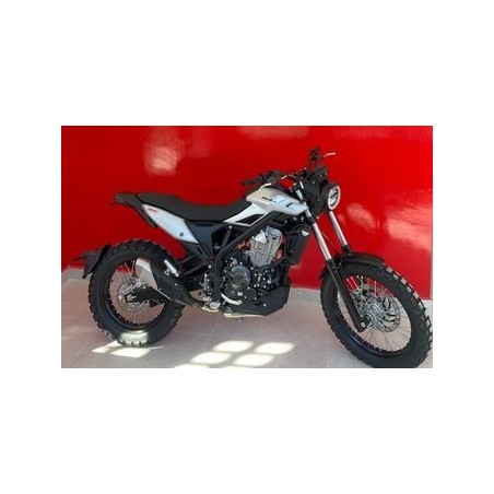 Beta ALP  4.0 X 2026