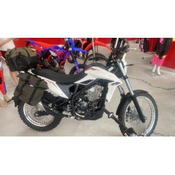 Beta ALP  4.0 X 2026