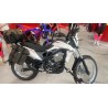 Beta ALP  4.0 X 2026