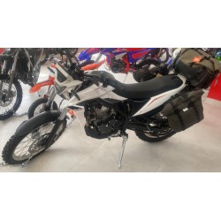 Beta ALP  4.0 X 2026