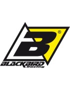 Adhesivos Blackbird Racing