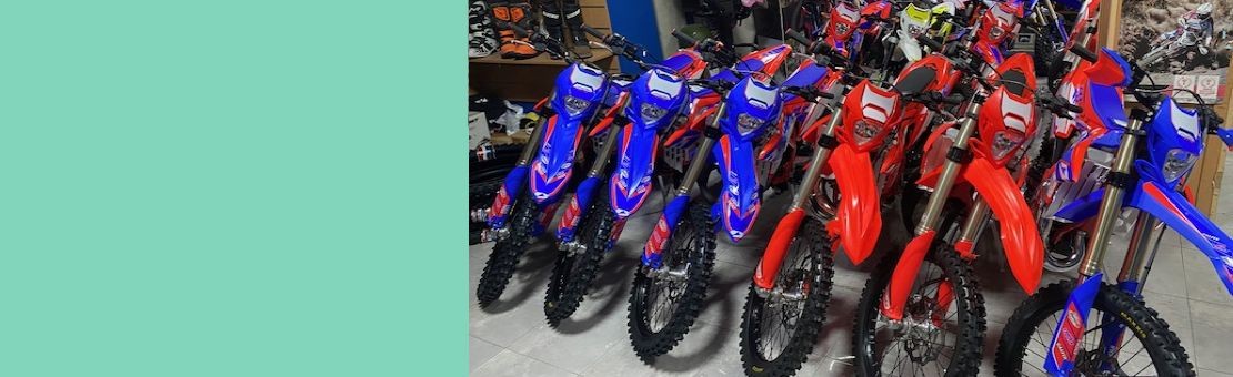 BETAMOTOR